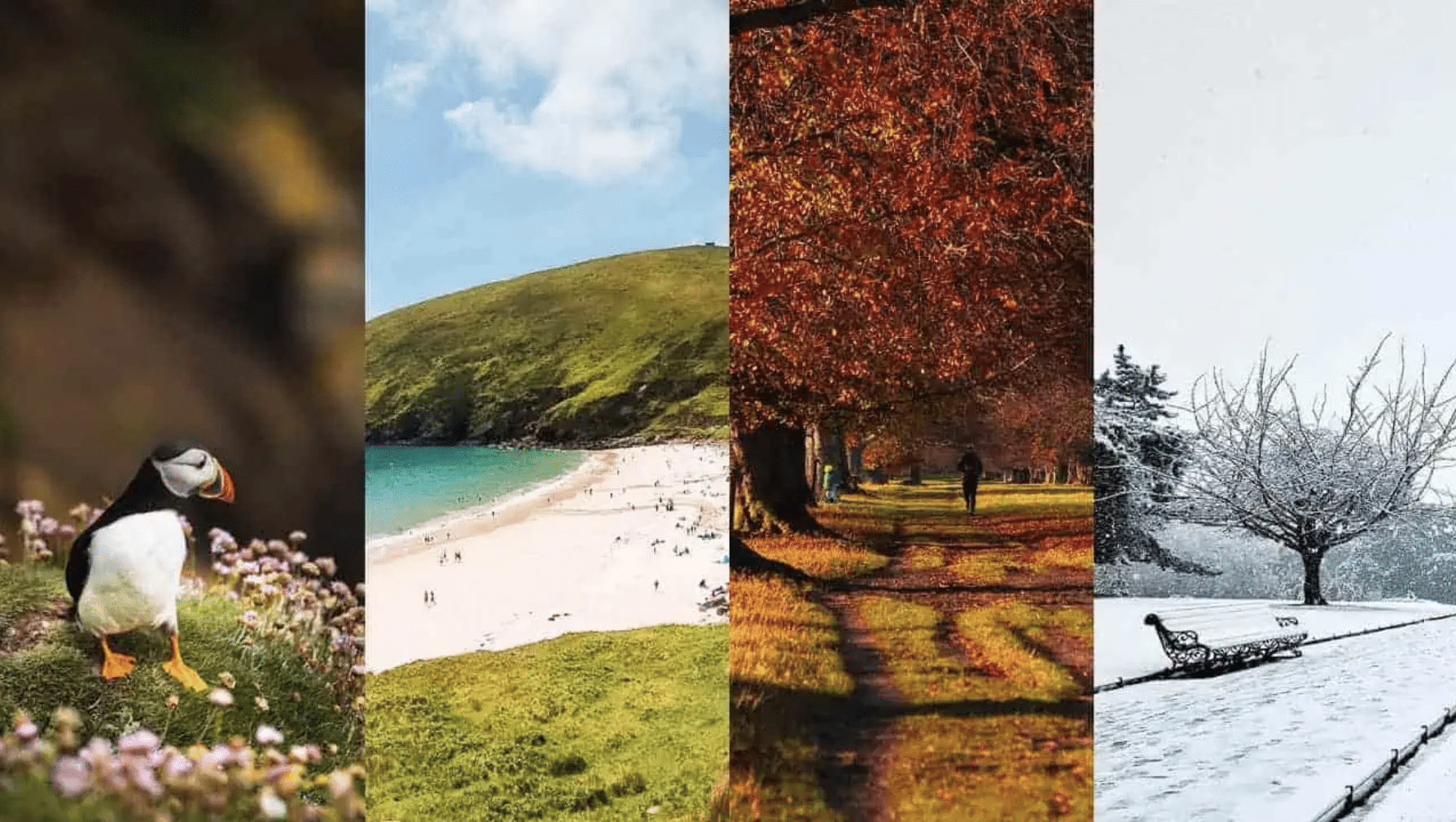 Ireland’s Climate in all seasons