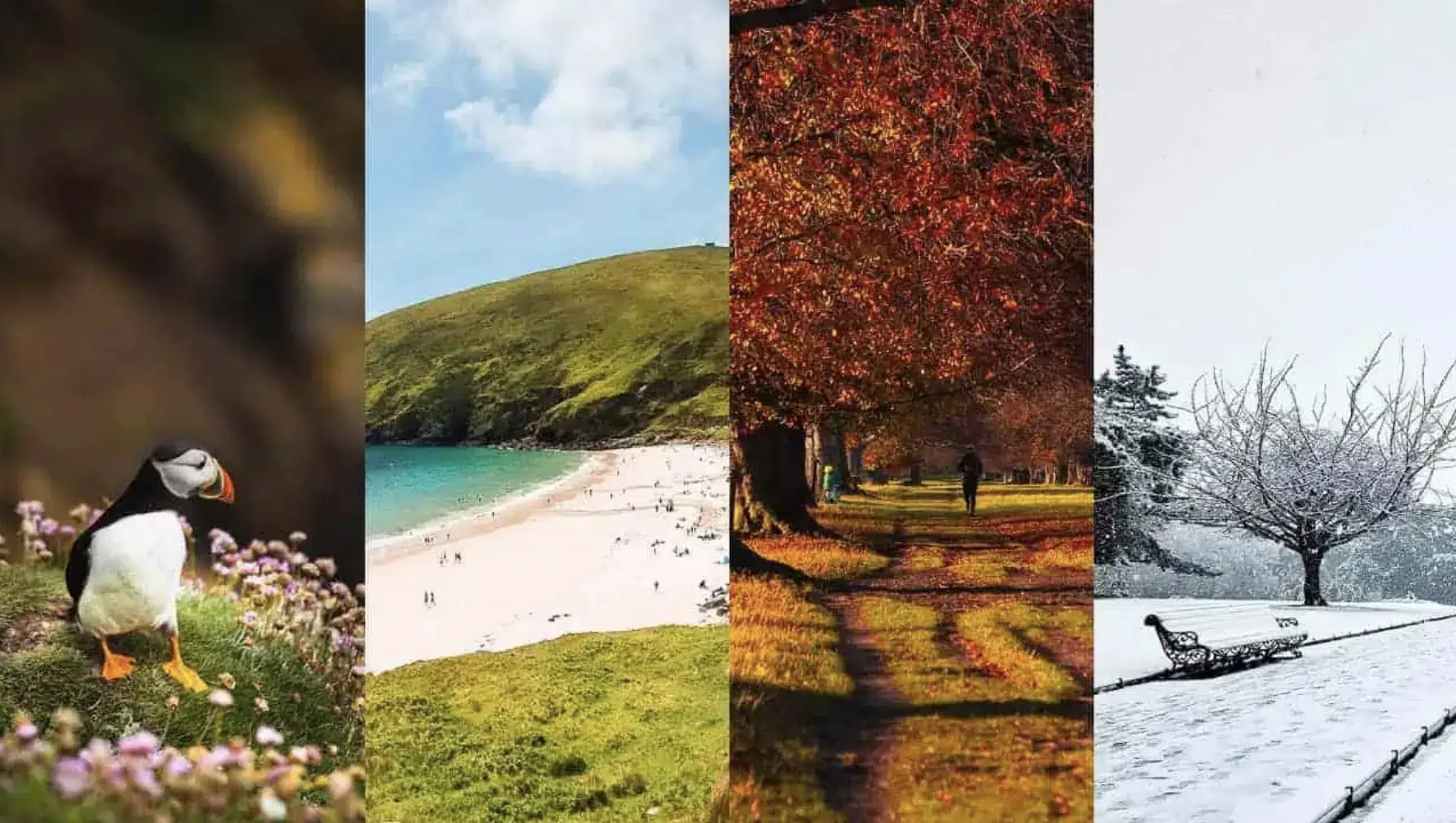 Ireland’s Climate in all seasons