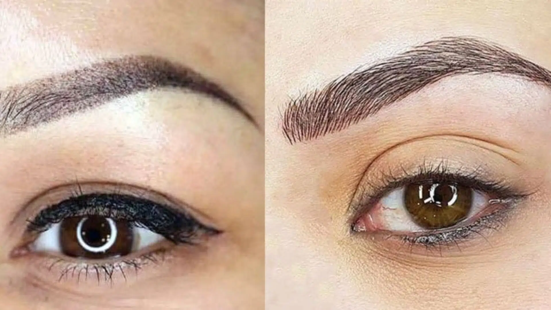 powder brows vs microblading
