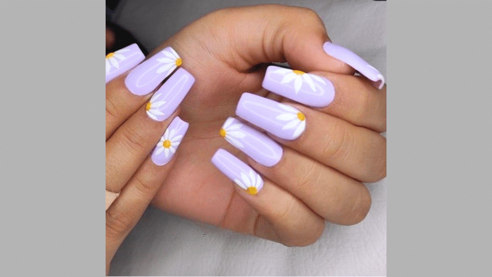 Lavender with White Floral Prints