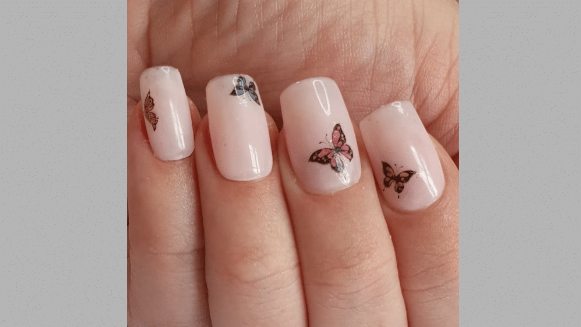 Clear Base with Butterfly Stickers