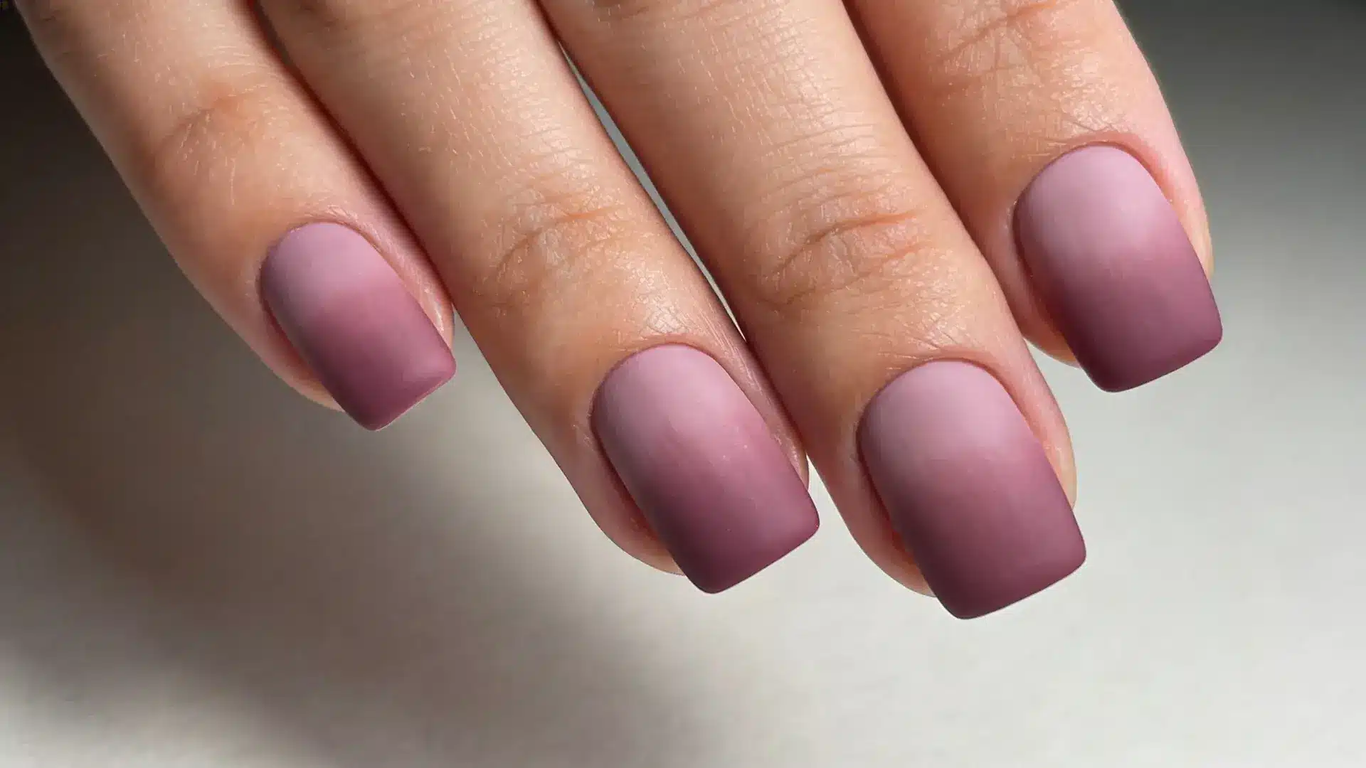 mauve gradient nails on a square shape nails with plain bakcground