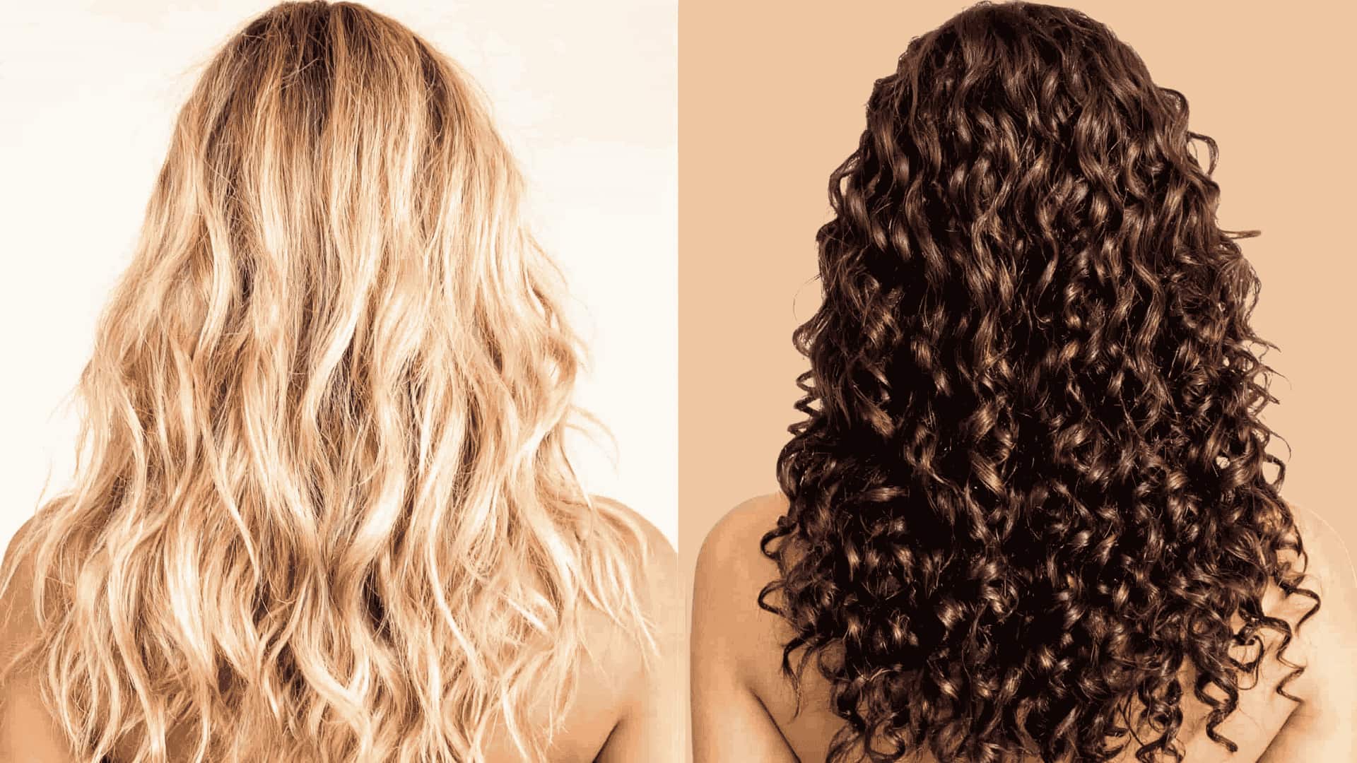 Comparison of blonde wavy hair and dark curly hair textures