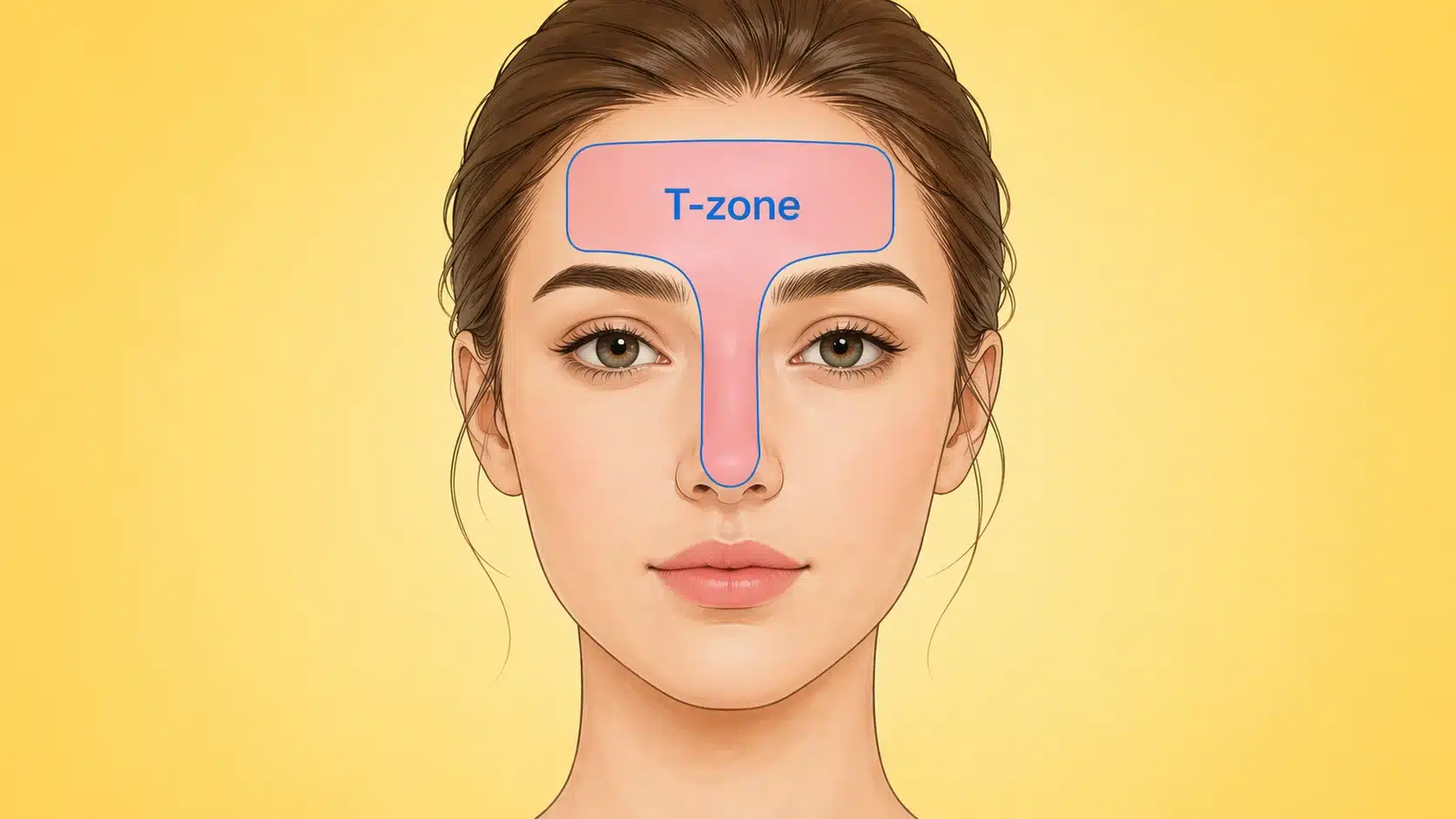 Face map illustration highlighting the T-zone area across forehead and nose