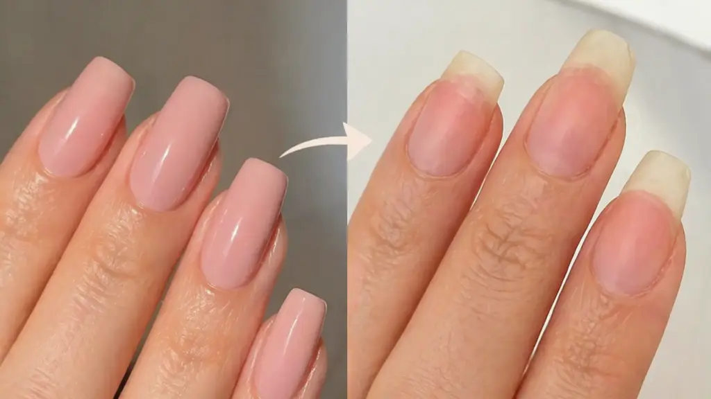 Glossy nude manicure vs natural nails comparison showing smooth finish and nail growth after polish removal
