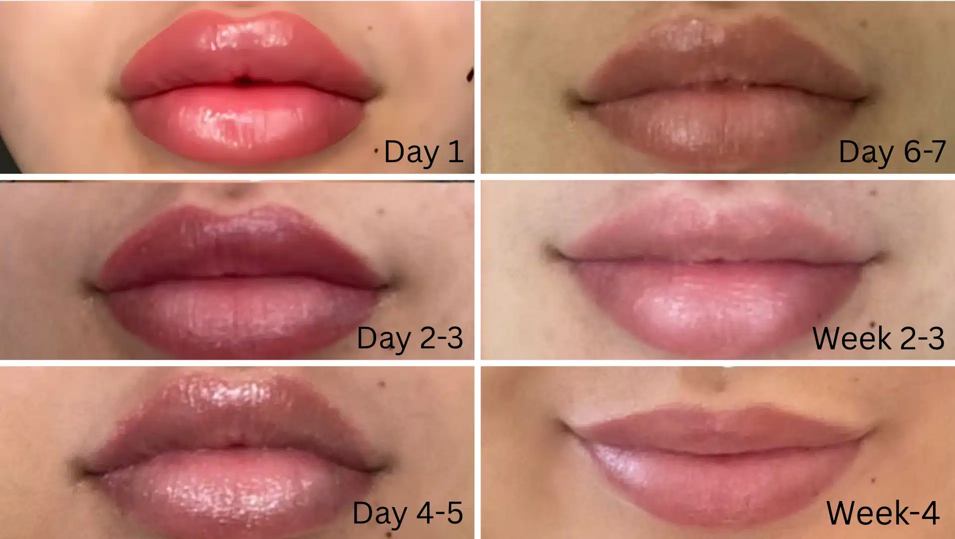 Grid showing lip blush healing stages from day 1 to week 4 with gradual color softening and smoother appearance
