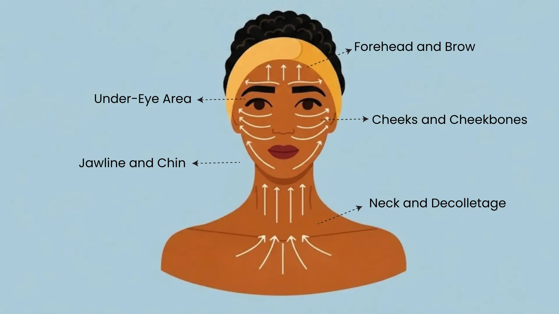 Gua sha facial diagram showing stroke directions for forehead, cheeks, jawline, under eyes, and neck areas