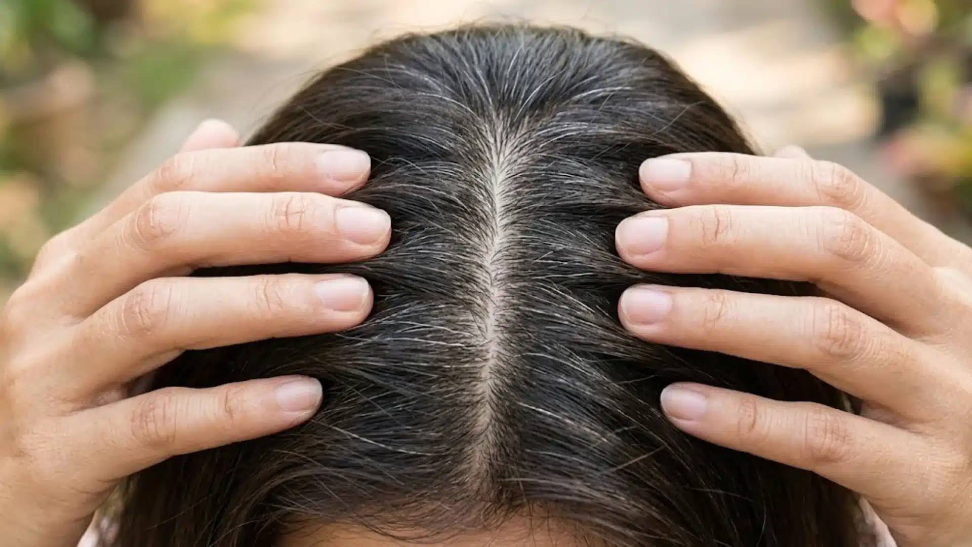 Hands parting dark hair to show visible gray roots along the scalp from above