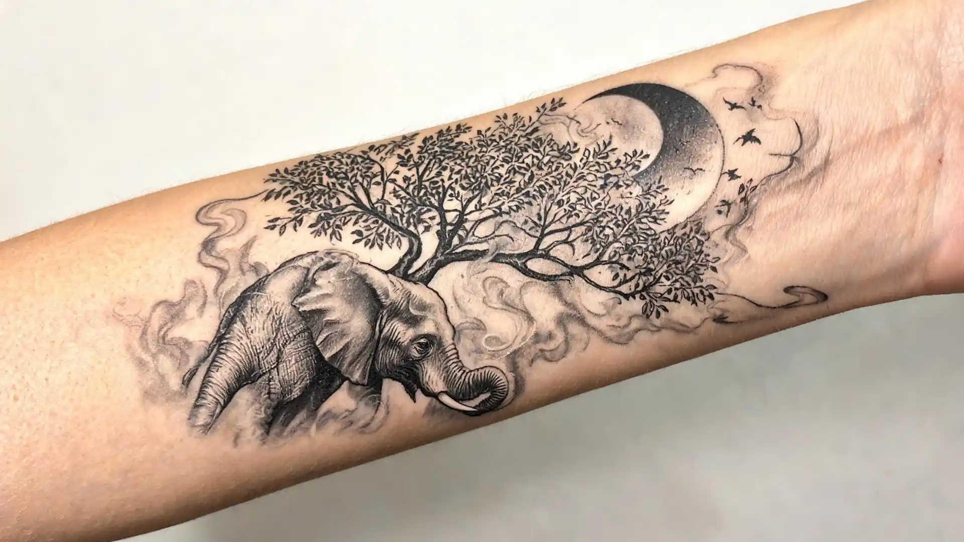 Elephant forearm tattoo with tree canopy, moon, and birds in black and grey ink