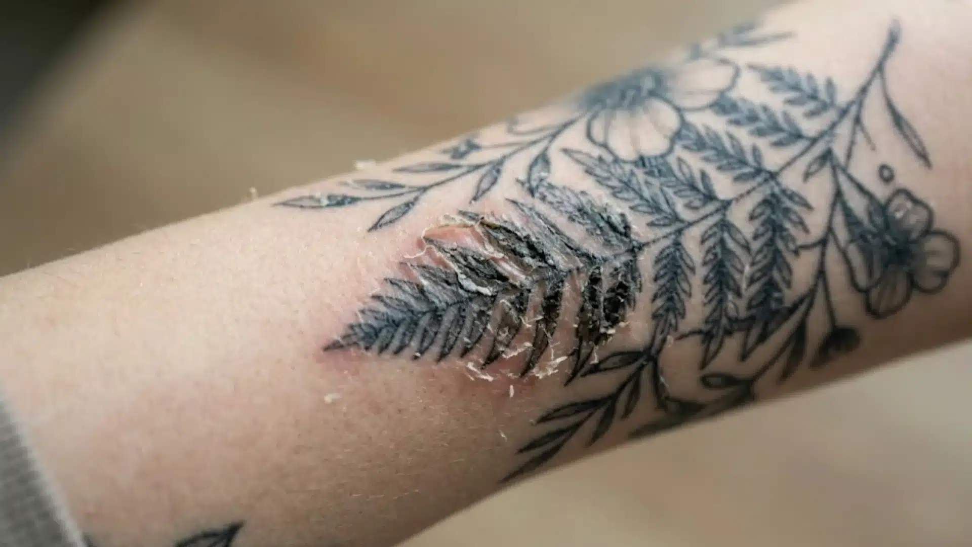 Healing tattoo peeling with light translucent flakes