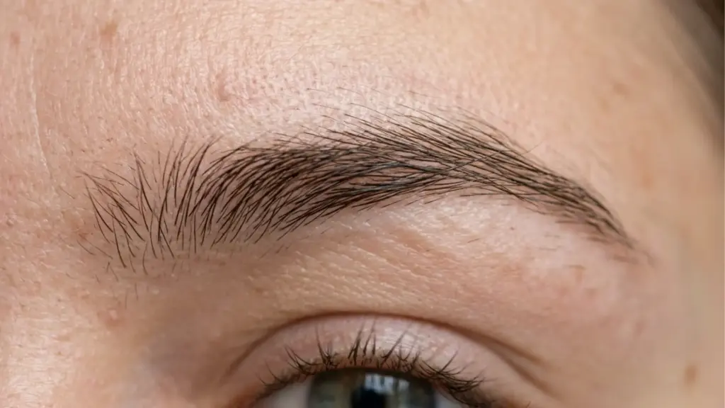 Natural eyebrow hair growth close-up