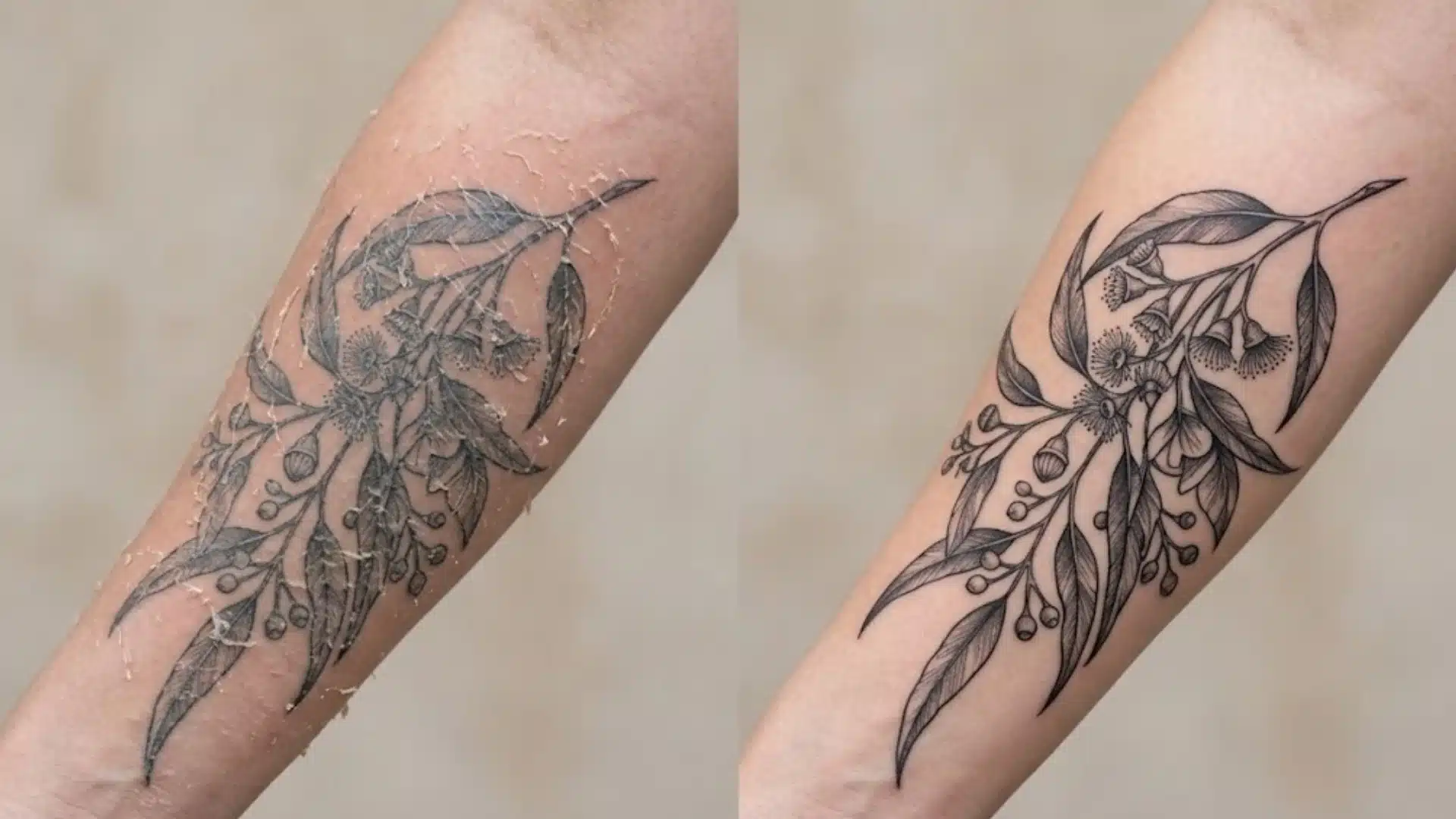Tattoo looking dull during the peeling phase versus sharp and vibrant after full healing