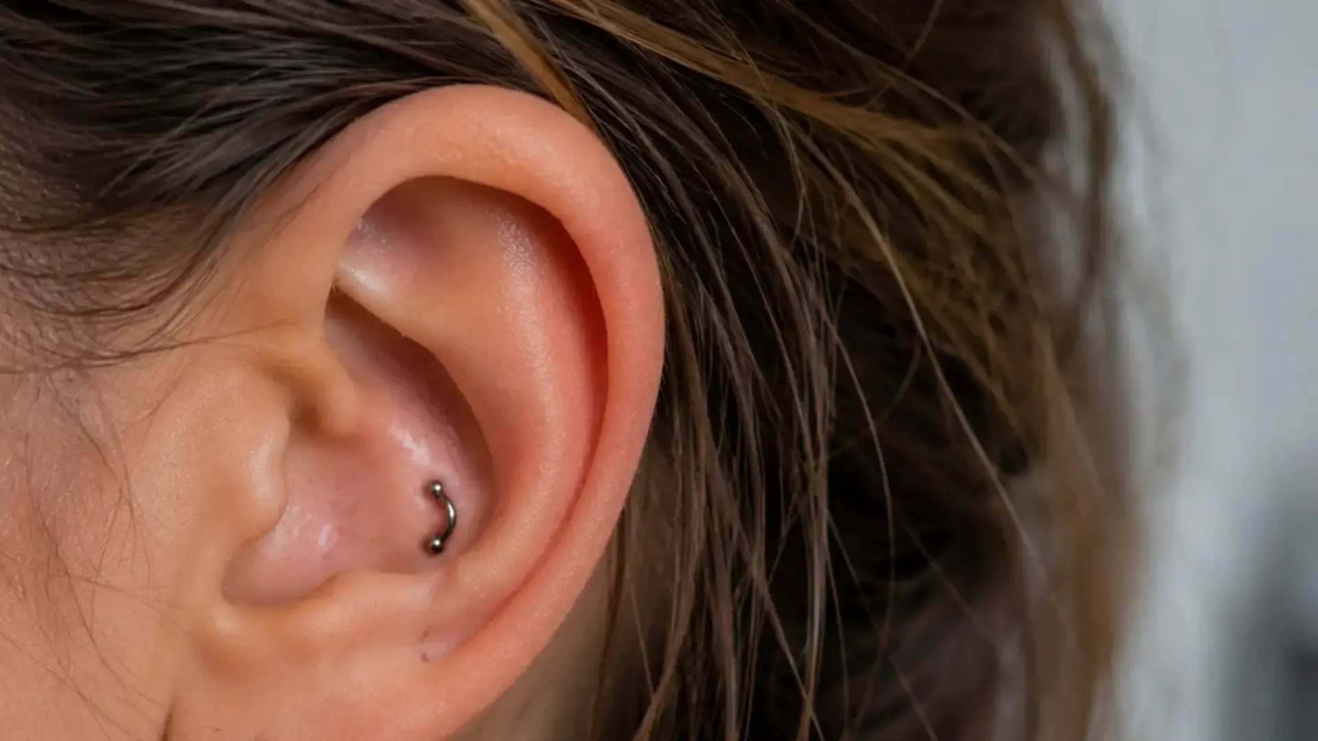 Anti-tragus piercing with curved barbell