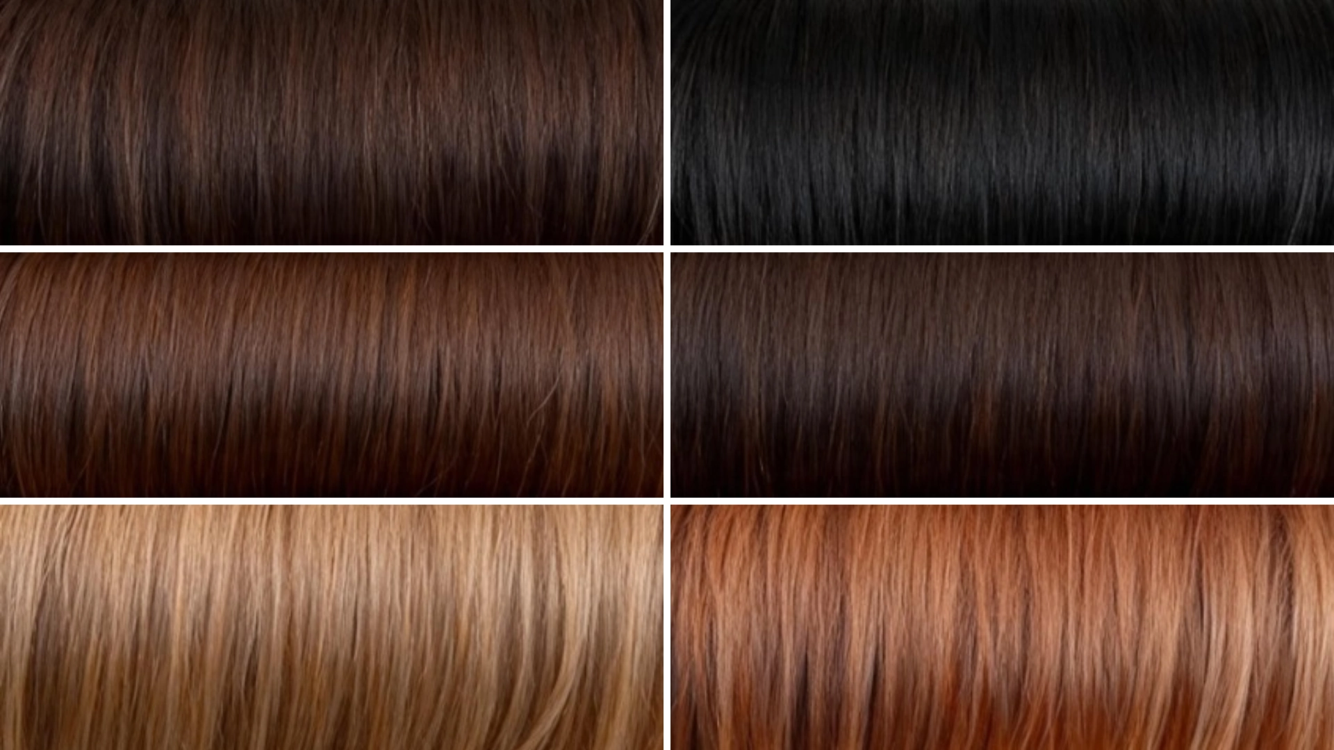 hair color comparison showing dark brown and black hair lifting into warm brown caramel and copper shades after lightening process